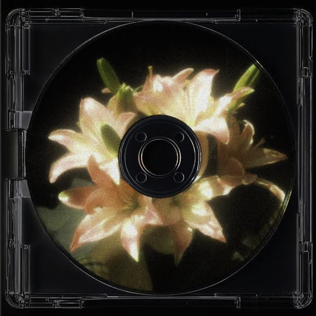 CD Case